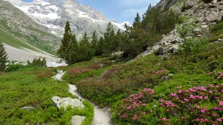 Valley of Flowers Trek
